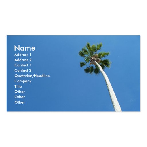 West Palm Beach Florida Palm Tree Business Card (front side)