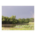 West Pond posters