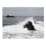 West Quoddy Postcards