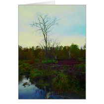 West River cards by Merritt_B West River cards