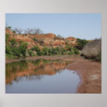 West Texas Beauty Poster