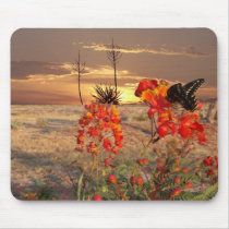 West Texas mousepads