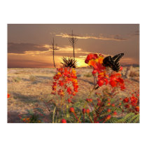 West Texas Sunset posters
