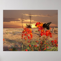 West Texas Sunset Print