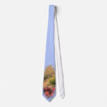 West TX Autumn ties
