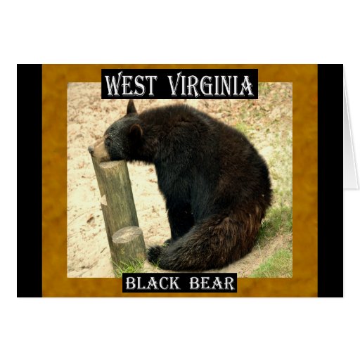 West Virginia Black Bear (AL, LA, NM, WV) Card | Zazzle