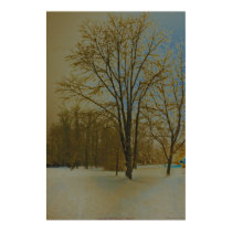 West Virginia in Snow posters