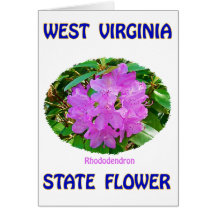 West Virginia State Flower T-Shirts & Gifts Card