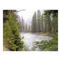 WEST YELLOWSTONE MT. posters