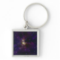 Westerlund 2, a young star cluster key chain