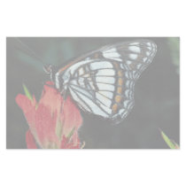 Western admiral on red Indian paintbrush flower Customized Stationery