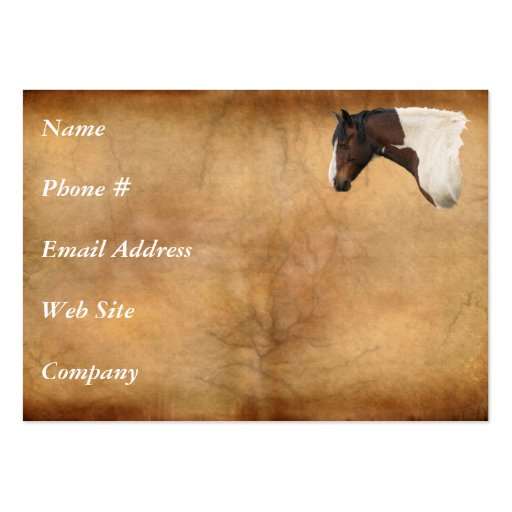 Western American Paint Horse Business Card