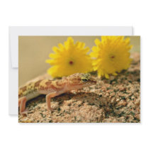 Western Banded Gecko and flowers flowers Personalized Invites