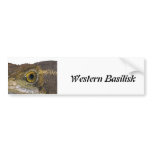 Western Basilisk Bumper Sticker