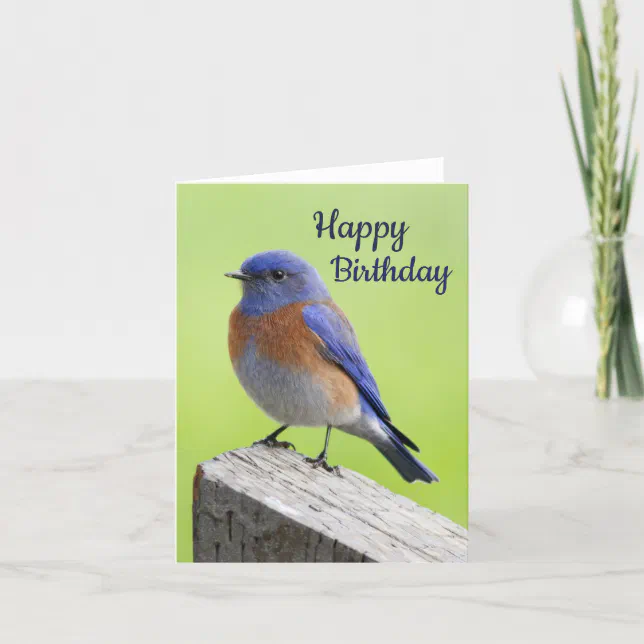 Western Bluebird Birthday Card Zazzle