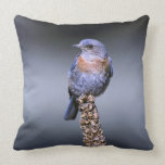Western Bluebird Pillow