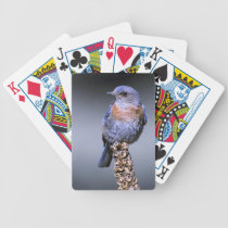 Western Bluebird Playing Cards playing cards