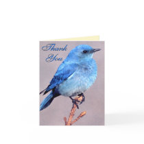 Western Bluebird Thank You Card