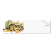 Western Brush wallaby Bumper Sticker