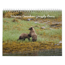 Western Canadian Grizzly Bears calendars by kcinamon Western Canadian Grizzly Bears calendars