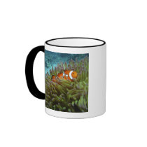 Western Clownfish ( Amphiprion ocellaris ), in Mug