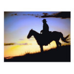 Western Cowboy Sunset Silhouette Post Cards