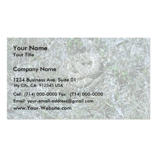 Western Diamondback Rattlesnake Business Card (front side)