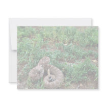 Western Diamondback Rattlesnake invitations by animalpark Western Diamondback Rattlesnake invitations