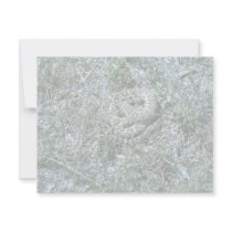 Western Diamondback Rattlesnake invitations by animalpark Western Diamondback Rattlesnake invitations