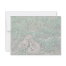 Western Diamondbacked Rattlesnake invitations by animalpark Western Diamondbacked Rattlesnake invitations