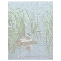 Western Grebe on Nest Letterhead Template