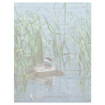 Western Grebe on Nest Letterhead Template