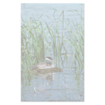 Western Grebe on Nest Stationery Design