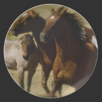 Western Horses Plate plates