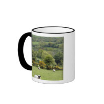 Western Ireland, Dingle Peninsula, broad Coffee Mugs