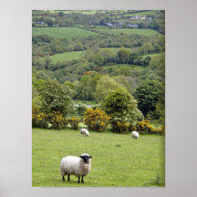 Western Ireland, Dingle Peninsula, broad Posters