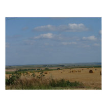 Western Kansas Bales posters by wksimages Western Kansas Bales posters
