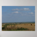 Western Kansas Bales posters