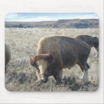 Western Kansas Bison mousepads