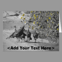 Western Kansas Turkey and Sunflowers cards