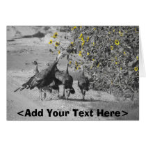 Western Kansas Turkey and Sunflowers cards