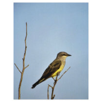 Western Kingbird Personalized Flyer