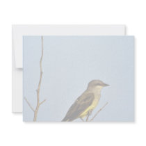 Western Kingbird Invites