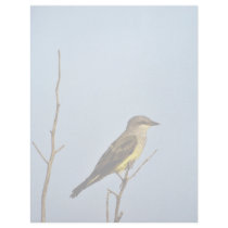 Western Kingbird Customized Letterhead