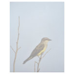 Western Kingbird Customized Letterhead