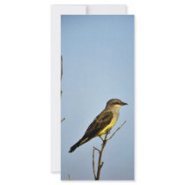 Western Kingbird Personalized Rack Card