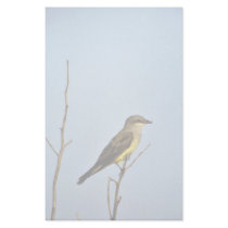 Western Kingbird stationery by animalpark Western Kingbird stationery