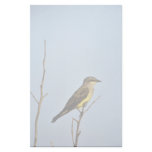 Western Kingbird Custom Stationery