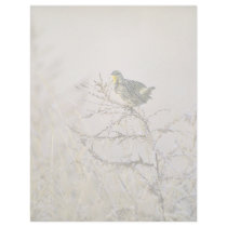 Western Meadowlark letterhead by animalpark Western Meadowlark letterhead
