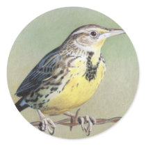 Western Meadowlark Round Stickers
